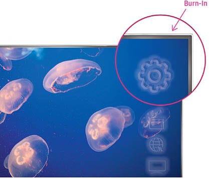 ips lcd burn in