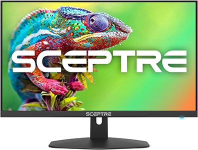 Sceptre E248W FW100T